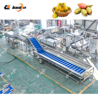 Avocado Wassen En Sorteren Machine Bubble Wasmachine Groente En Fruit Reiniging Wassen Verwerkingslijn