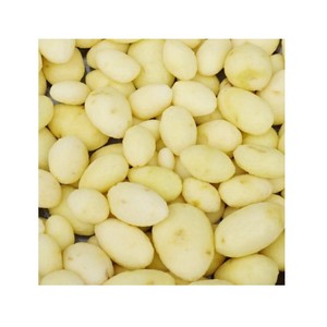 Máquina Industrial para Lavar y Pelar Jengibre, Zanahoria y Frutas, Máquina para Lavar y Pelar Batata - Product Image 2