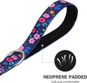 Correa Doble para Gatos Hikiko de 6 Pies, para Gatos Medianos y Grandes, con Asas Acolchadas y Luces, para Pasear y Entrenar (Azul Marino Floral) - Product Image 4