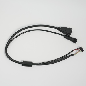 Nhà máy tùy chỉnh <span class=keywords><strong>HDMI</strong></span> A/F để Dupont 2.0 2 * 9pin + không thấm nước 2pin để ph2.0 Combo cáp cho công nghiệp hiển thị - Product Image 4