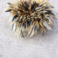 2-4 "| 4-6" | 6-8 "doğal horoz tüyleri horoz Pluma De Gallo Plumage De Poulet Strung Coque tavuk eyer tüyler satılık