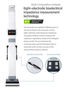 Analyseur de composition corporelle BIA segmentaire à 8 électrodes, ultrasonique, avec reconnaissance faciale, pour clubs de fitness et salons de beauté - Product Image 6