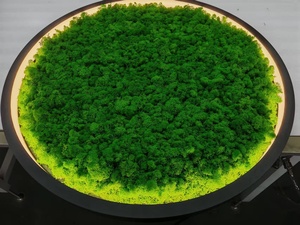 Hlinear loạt kết cấu L2555-C-1-A-D640 Dài Vòng Tròn tuyến tính ánh sáng nhà thông minh chiếu sáng nhỏ nhôm đèn điều khiển từ xa trung - Product Image 5