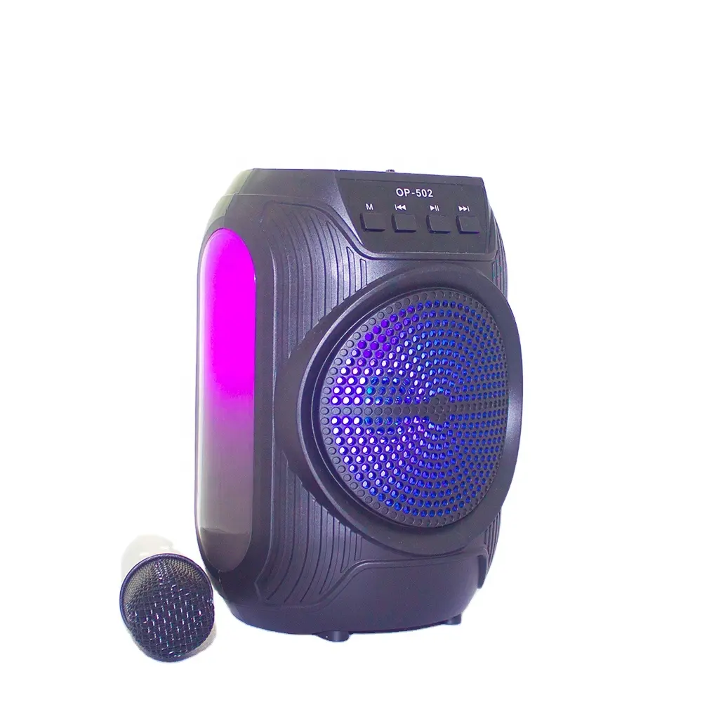 Altoparlante per macchina karaoke altoparlante bluetooth Wireless con microfono Wireless ricaricabile