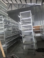 Nouvelle cage à poulets de chair de type H pour usage agricole, démontage pratique, nettoyage facile, acier galvanisé