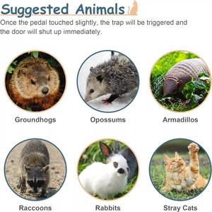 32 "canlı hayvan kafes tuzak ağır çelik yakalamak insancıl kemirgen kafes w/demir kapı - Product Image 5