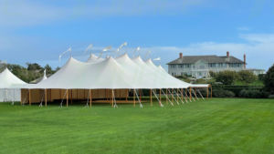 Tienda de campaña para fiestas de bodas, 32x50 S - Product Image 6