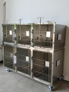 Gabbia <span class=keywords><strong>per</strong></span> Animali Domestici in Acciaio Inox 304 di Grandi Dimensioni, Gabbia Veterinaria a Doppio Piano con 5 Porte e Ruote Spostabili - Product Image 1