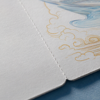 Impression personnalisée, logo OEM ISO14001, carton enduit, 180x80mm, commande en gros, carte d'embarquement pour avion