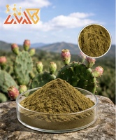 Fournisseur de poudre d'extrait de cactus naturel de haute qualité