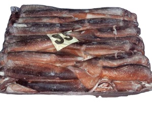 Calamar Illex Congelado de Origen Argentino de Nueva <span class=keywords><strong>Temporada</strong></span>, Congelado Entero, Capturado con Red de Pesca - Product Image 4