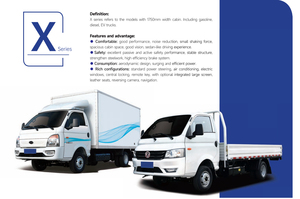 China Brand New Euro VI 2T Gasoline Van Truck Two-<strong>Man</strong> Single Row Cab Mini Truck 4L Engine <strong>4x2</strong> Left Automatic/Manual Transmission - Product Image 2