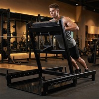 Machine à Hip Thrust Commerciale Pliable en Acier à Charge de Plaques, Entraîneur de Pont Fessier 50 kg pour Usage en Salle de Sport Unisexe