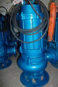 Bomba Sumergible para Pozos Profundos <span class=keywords><strong>QW</strong></span> / 3 HP / 220V 50/60Hz / Hierro Fundido/Acero Inoxidable / Uso como Difusor de Aromaterapia / 2 Años de Garantía - Product Image 2