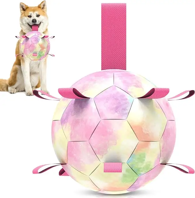 Giocattoli per cani pallone da calcio con cinghie di cane gonfiabile durevole cane arcobaleno palle gonfiabili cane corda giocattoli giocano con i bambini in giardino