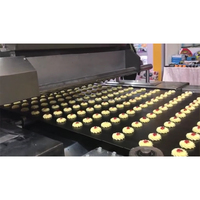 HYSQJ-600 Offre Spéciale machine à biscuits bicolore automatique Prix de la ligne de production de biscuits
