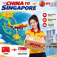 Meilleur tarif d'expédition Chine-Singapour, agent de fret DHL Express, dropshipping, consolidation, service logistique tout-en-un