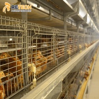 Cage de poulailler automatique à batterie, type vertical, 4 niveaux, pour l'élevage de poussins et de volailles