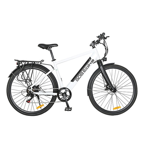 Mountain Bike Bici Elettrica Olandese Uomo Bici Elettriche: E-bike