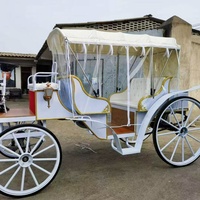 Charrette royale de tourisme, calèche touristique avec harnais complet et accessoires de sellerie
