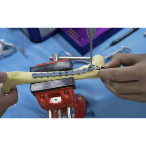 Modèle d'os orthopédique canin (ulnaire et radial) pour la science médicale – Modèle de squelette animal - Product Image 3