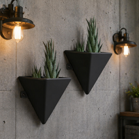 Air aero décor nordique naturel succulent pépinière triangulaire mural suspendu fleur plante panier pots et jardinières