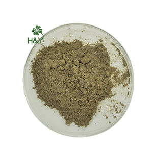 Высококачественный натуральный экстракт эпимедиума оптом, порошок икариина 30% (HPLC) - Product Image 1