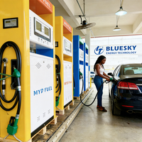 Pompe à essence durable pour station-service RDC Congo, précision 0,30 %, débit 5-55 L/min, prise en charge de la fonction personnalisée pour projets locaux