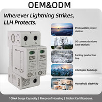 Dispositifs de protection contre les surtensions CE TUV 20Ka 40Ka 220V 275V 320V 385V 440V 1P+NPE T2 2 pôles parafoudre AC pour l'énergie solaire