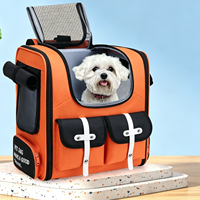 Sac à dos de transport pour animaux de compagnie en gros, color block, grande capacité, en maille respirante, avec porte-gobelets latéraux
