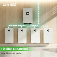 Batterie lithium basse tension Deye 16 kWh murale 51,2 V 314 Ah, pack de batteries lithium polymère rechargeable pour système solaire domestique