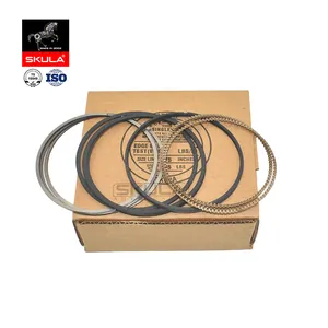 Skula Auto Part Engine Piston Ring Kit GN1G6149AA GN1G-6149-AA for FORD 1.5 Ecosport Focus IV 2018-