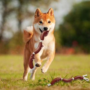 Fábrica al por mayor de vinilo ecológico juguetes para mascotas forma de <span class=keywords><strong>salchicha</strong></span> entrenamiento interactivo sonido <span class=keywords><strong>perro</strong></span> masticar juguete - Product Image 5