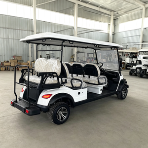 Voiturette de golf électrique 8 places, 7,5 kW de puissance, certifiée CE, véhicule touristique de tourisme - Product Image 5