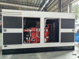 3 مراحل CAMC السلطة 250kVA مولد الغاز الطبيعي 200kW مولد LPG 50Hz 60Hz مولد الغاز الحيوي مع جودة عالية - Product Image 2