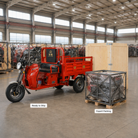 Tricycle cargo à essence 110CC-150CC, refroidissement par eau, quatre temps, moto à trois roues, capacité de charge de 500 kg pour le transport agricole en Afrique