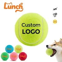 Lot de balles de tennis personnalisées avec logo imprimé pour chiens, jouet interactif pour animaux de compagnie de 2,5 pouces pour l'entraînement à la plage et la pratique du lancer
