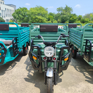 Triciclo Eléctrico Volquete Super <span class=keywords><strong>War</strong></span> 1611 Abierto, Mini Camión Eléctrico de Carga de 3 Ruedas, Motocicleta con Capacidad de Carga de 500 kg para Minería y Construcción - Product Image 1