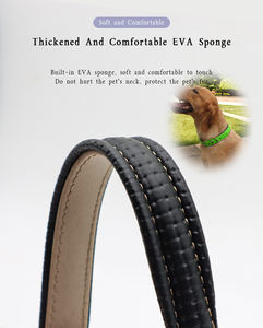Duurzame <span class=keywords><strong>Eva</strong></span> Plastic Halsband Met Gewatteerde Pvc Gesp Waterdichte Linten Meerdere Kleuren Solide 2-5 Dagen Groothandel - Product Image 2