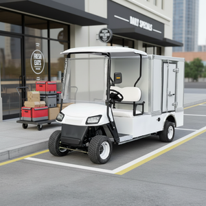 Carrito de Golf Eléctrico Todoterreno con Cajas de Carga, 72V, 4/8 Plazas, Doble Fila, Certificado DOT para Alquiler - Product Image 4