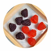 100pcs Simulation Mini Framboise Fruit Maison De Poupée Résine Ornement Meubles Maison Jardin Décor