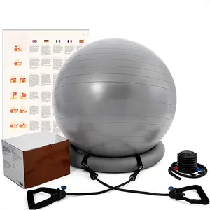 Exercise Ball Chair 65 cm Office Yoga Ball Included Resistance Bands