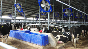 Bebedero Calefactado para Ganado de Gran Capacidad con Calefacción Anticongelante Integrada de 1800W para Granjas de Ganado en Climas Fríos - Product Image 5