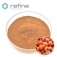 Extrait de fruit de kaki pur naturel de qualité alimentaire, poudre de tannin à 95 %, fourni par l'usine