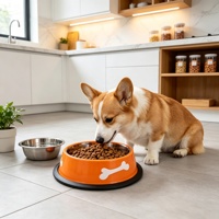 Bol pour chien en acier inoxydable Kinghon, accessoires écologiques pour petits animaux - Utilisation intérieure/extérieure/en voyage, produits d'alimentation pour chiens