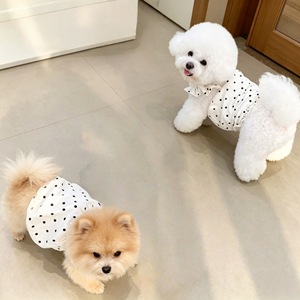 Cute Polka Dot Dress for Dogs and <b>Cats</b> White Polyester Skirt Four Seasons Pet <b>Clothes</b> Made in Jiangsu - Product Image 4
