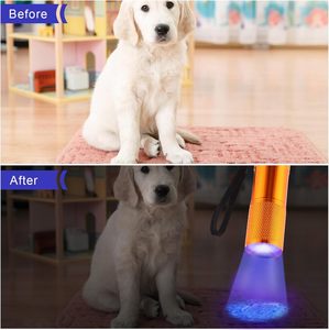 ไฟฉาย LED ขนาดเล็กแบบมีสายคล้องคอ สั่งทำโลโก้ได้ ความสว่างสูง หลากสี เหมาะสำหรับเด็ก อ่านหนังสือตอนกลางคืน มาตรฐาน IP44 ระยะส่อง 20 เมตร ใช้งานได้นาน 18 ชั่วโมง - Product Image 3