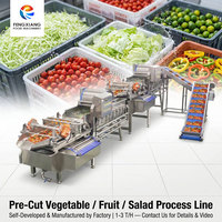 Commerciële dubbele vortex groentewaslijn 1-3t/u, aanpasbaar voor gesneden groenten, fruit, kersentomaten, salade, bladgroenten, thee