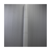 Cartucho de filtro plegado plisado PVDF de 10 pulgadas, Grado Alimenticio hidrofílico, soluciones Wuhu Anhui, 0,01 micras, oftálmica estéril
