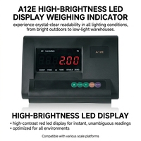 Indicateur de pesage numérique OEM haute précision personnalisé XK3190-A12E avec affichage LED pour balance à plateforme et usage industriel